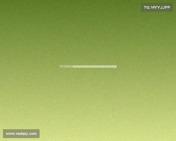 FIFA2002世界杯游戏使用方法与操作技巧全面解析指南入门攻略与实战技巧详